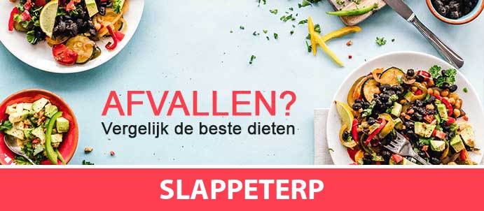 afvallen-diëtist-slappeterp-9037